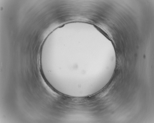 X0000089401391200707061218