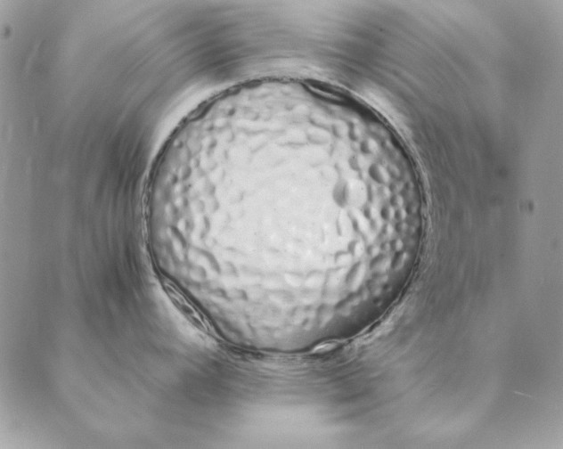 X0000089401392200707061218