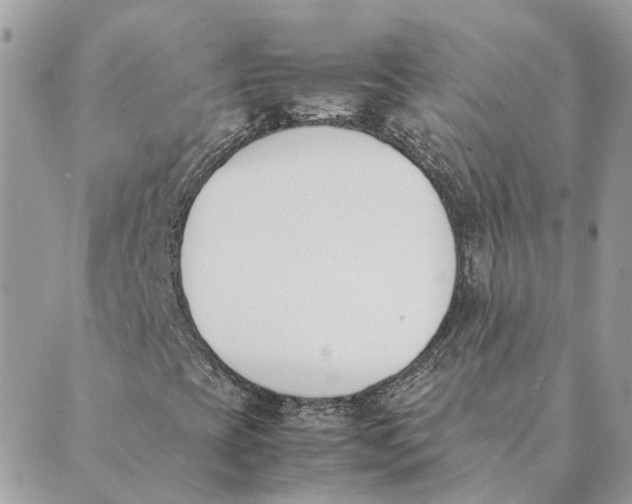 X0000089401393200707061217