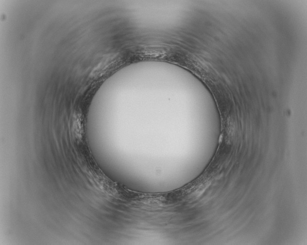 X0000089401394200707061217