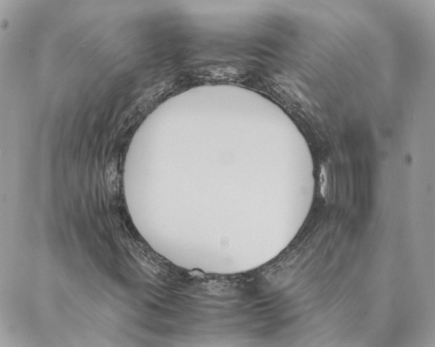 X0000089401395200707061217