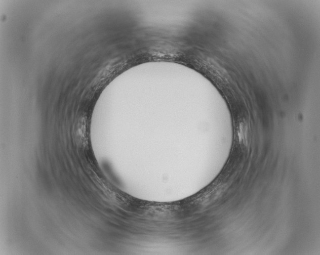 X0000089401396200707061217