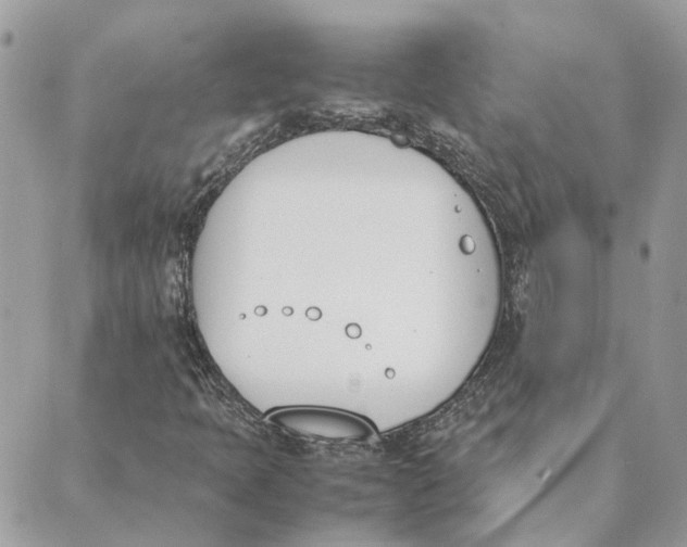 X0000089401397200707061217