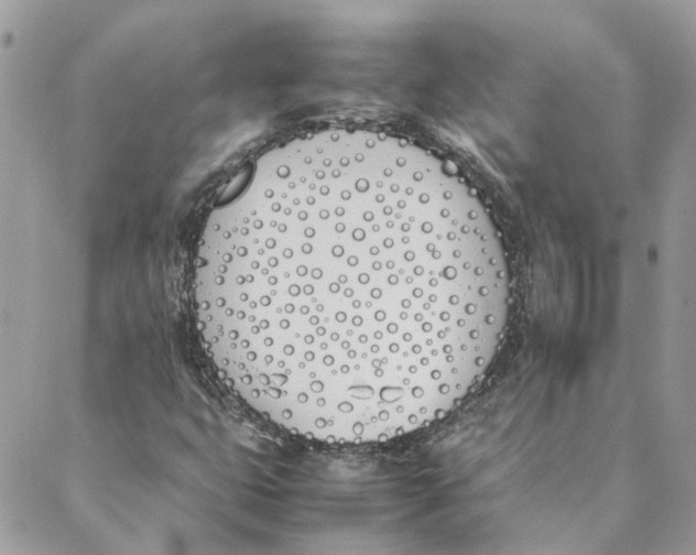 X0000089401399200707061217