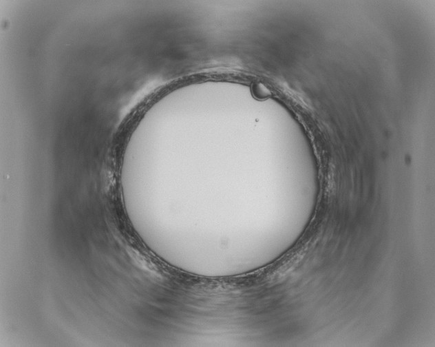 X0000089401400200707061217