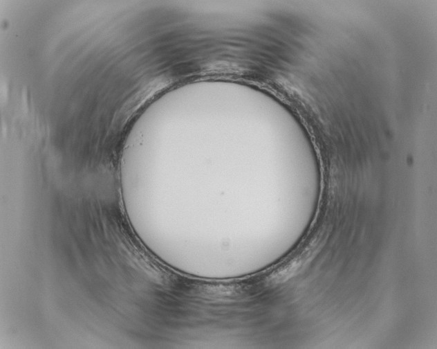 X0000089401401200707061217