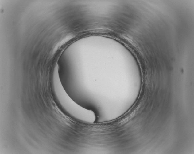 X0000089401402200707061217