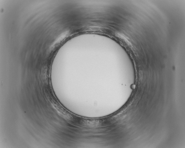 X0000089401403200707061217