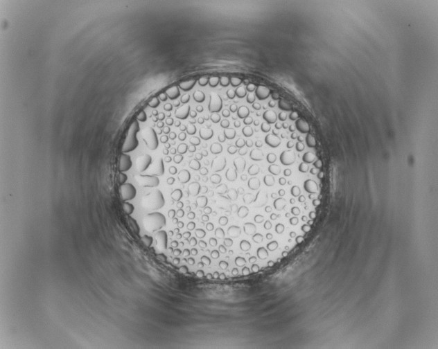 X0000089401405200707061217