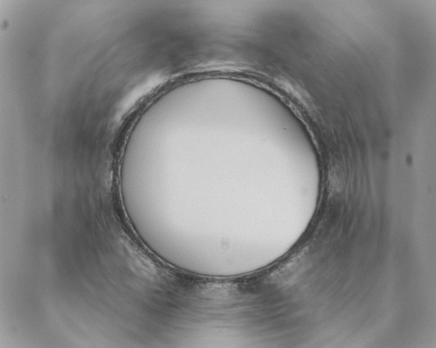 X0000089401406200707061217