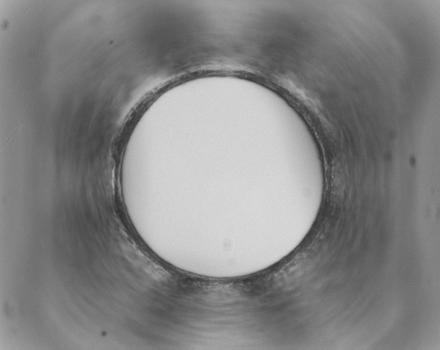 X0000089401408200707061217