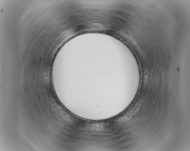 X0000089401409200707061217