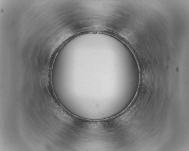 X0000089401410200707061217