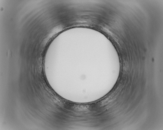 X0000089401411200707061217