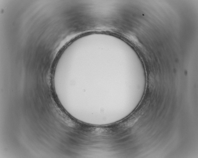 X0000089401412200707061217