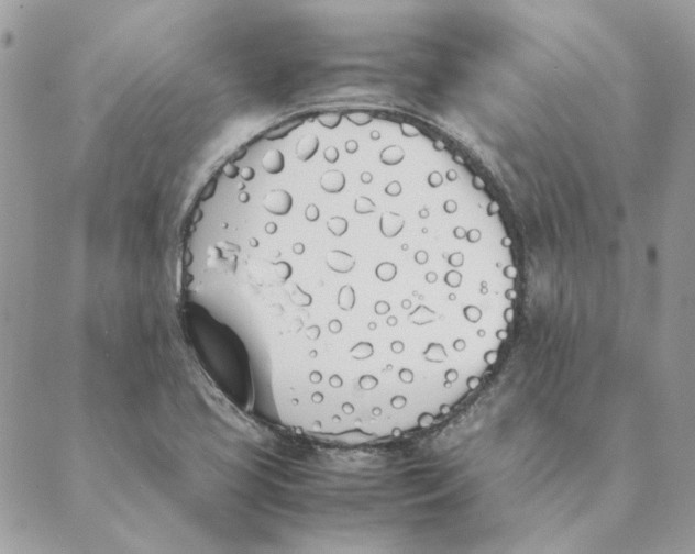 X0000089401413200707061217