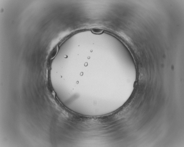 X0000089401414200707061217