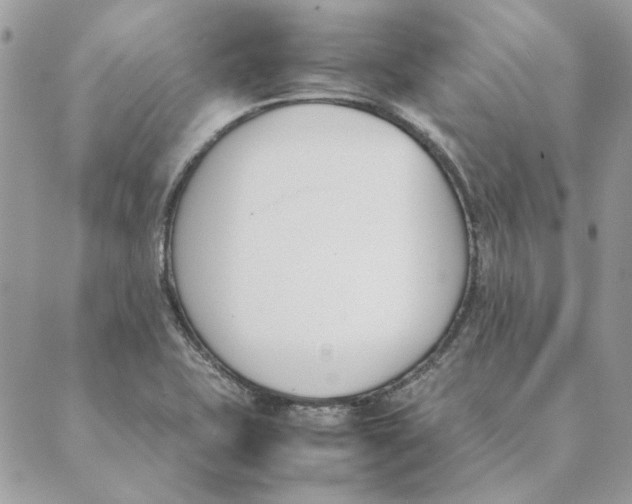 X0000089401415200707061217