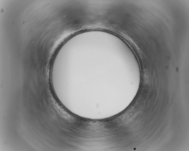 X0000089401416200707061217