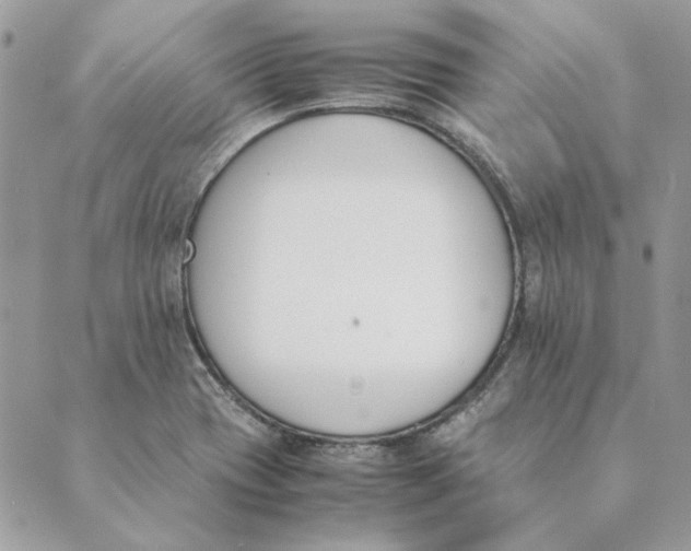 X0000089401417200707061217