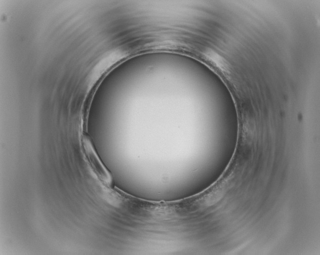 X0000089401418200707061217