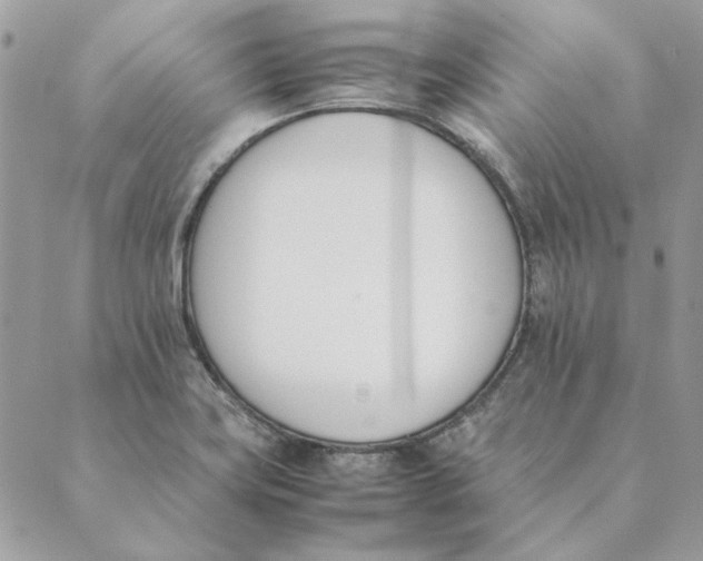 X0000089401419200707061217