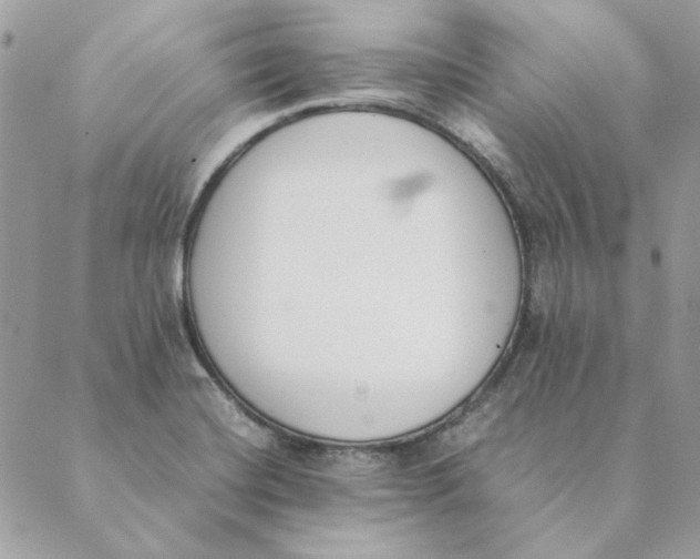 X0000089401420200707061217