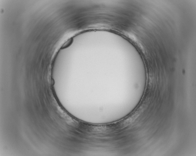 X0000089401421200707061217