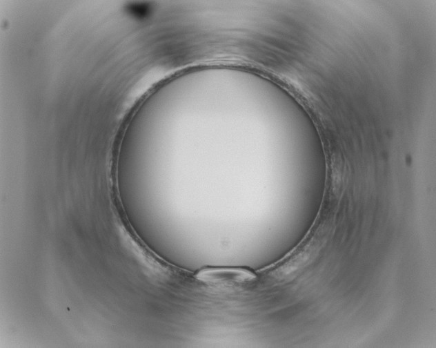 X0000089401422200707061217