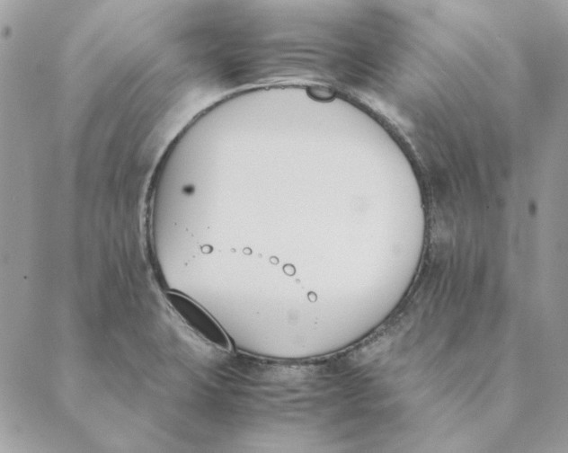 X0000089401423200707061217