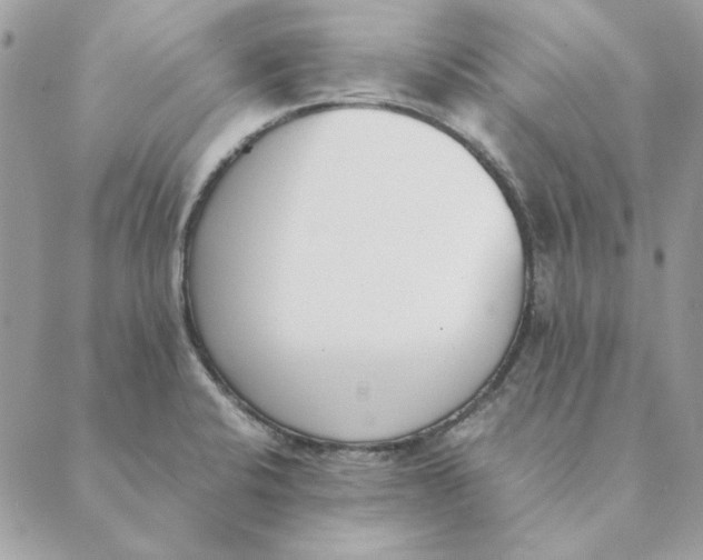 X0000089401424200707061217