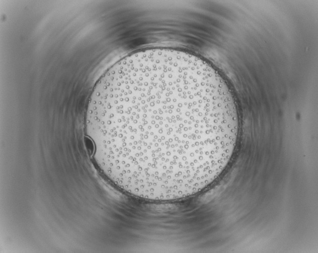 X0000089401425200707061217