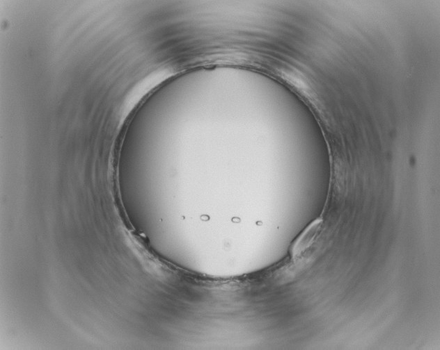 X0000089401426200707061217