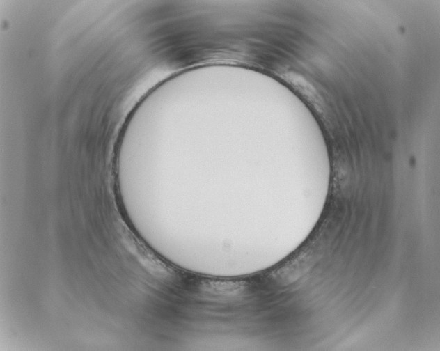 X0000089401427200707061217