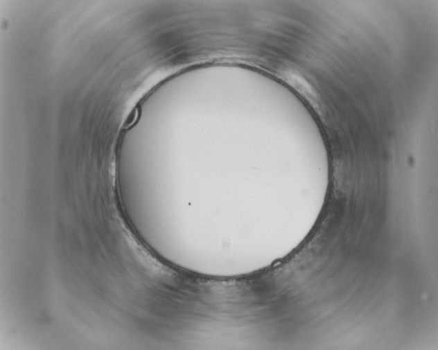 X0000089401428200707061217