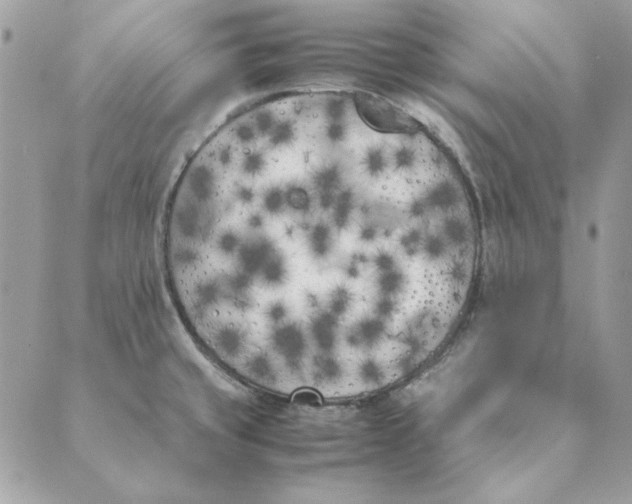 X0000089401429200707061217