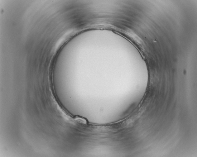 X0000089401430200707061217