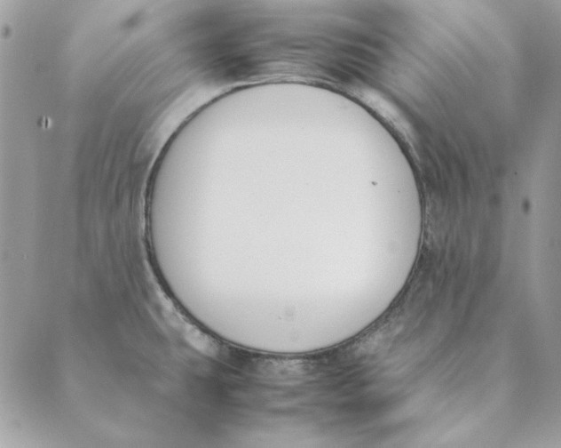 X0000089401431200707061217