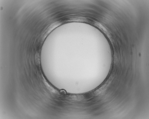 X0000089401433200707061217