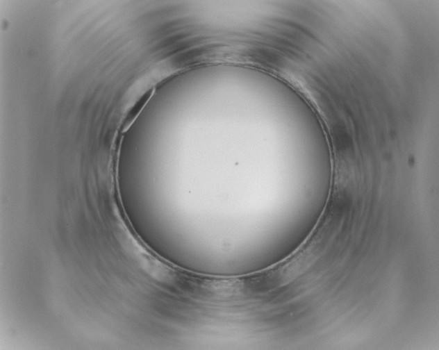 X0000089401434200707061217