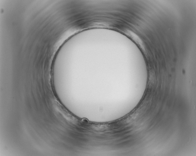 X0000089401435200707061217