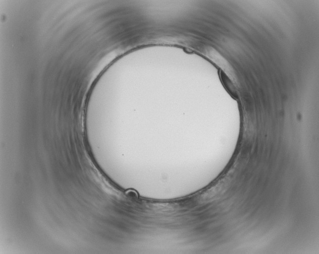 X0000089401436200707061217