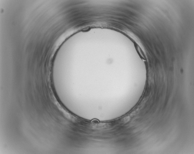 X0000089401437200707061217