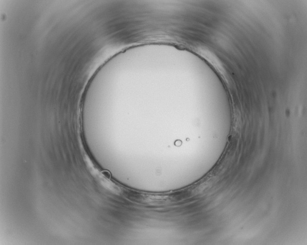 X0000089401439200707061218