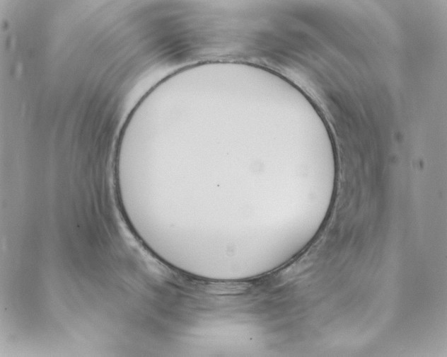 X0000089401440200707061218