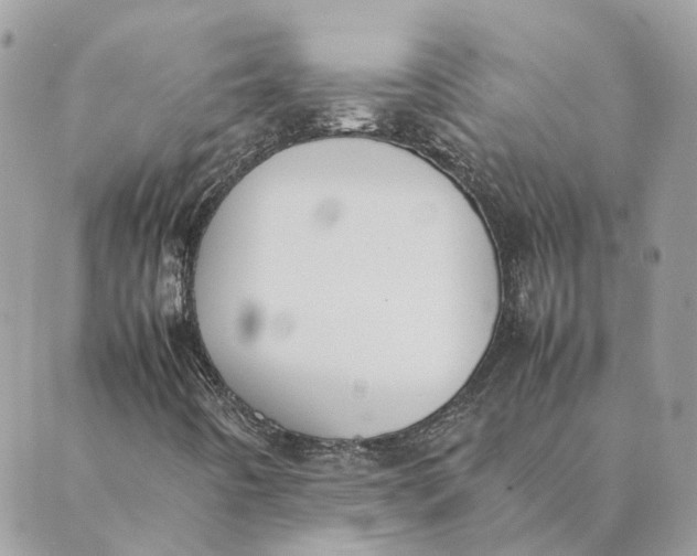 X0000089401442200707061217