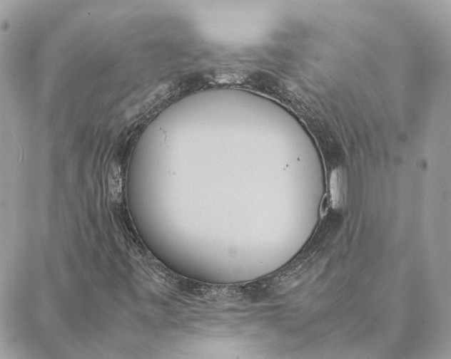 X0000089401443200707061217