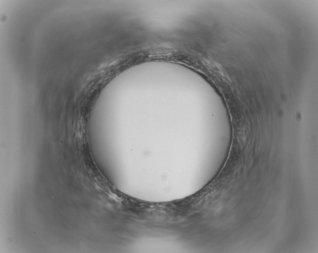 X0000089401445200707061217