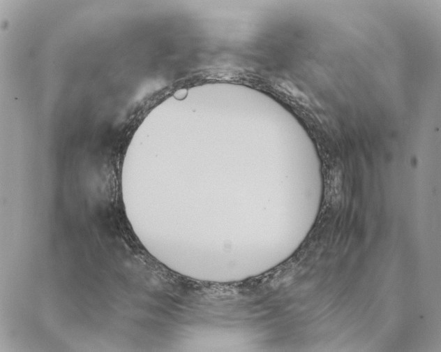 X0000089401446200707061217