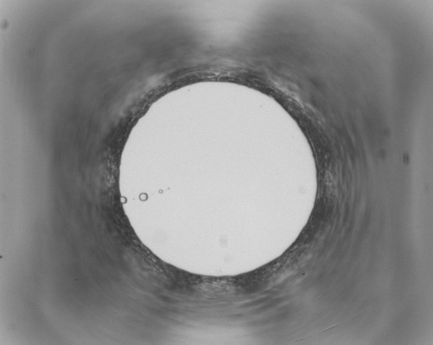 X0000089401447200707061217